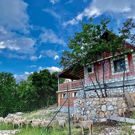 Mountain Village House Cetinje Eksteriør billede