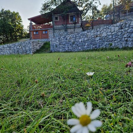 Mountain Village House Cetinje Eksteriør billede
