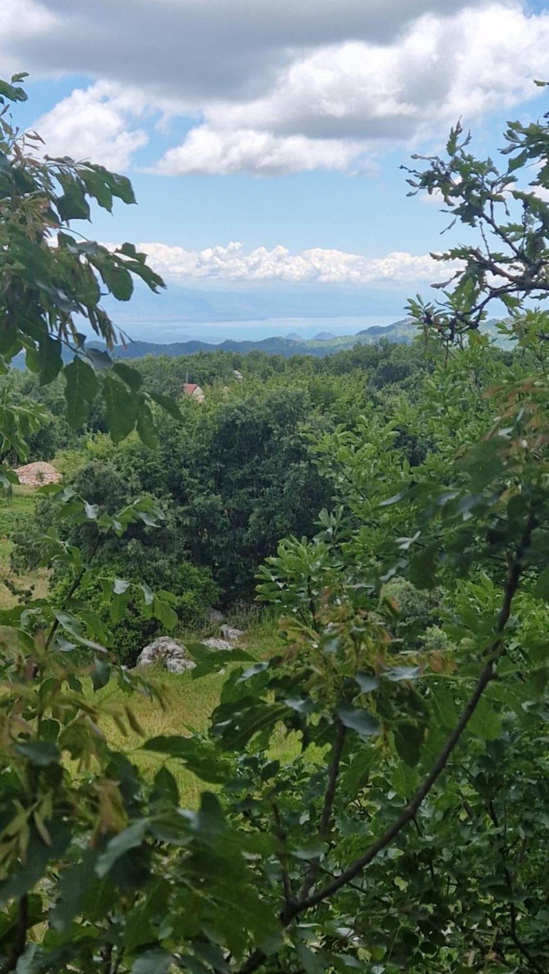 Mountain Village House Cetinje Eksteriør billede