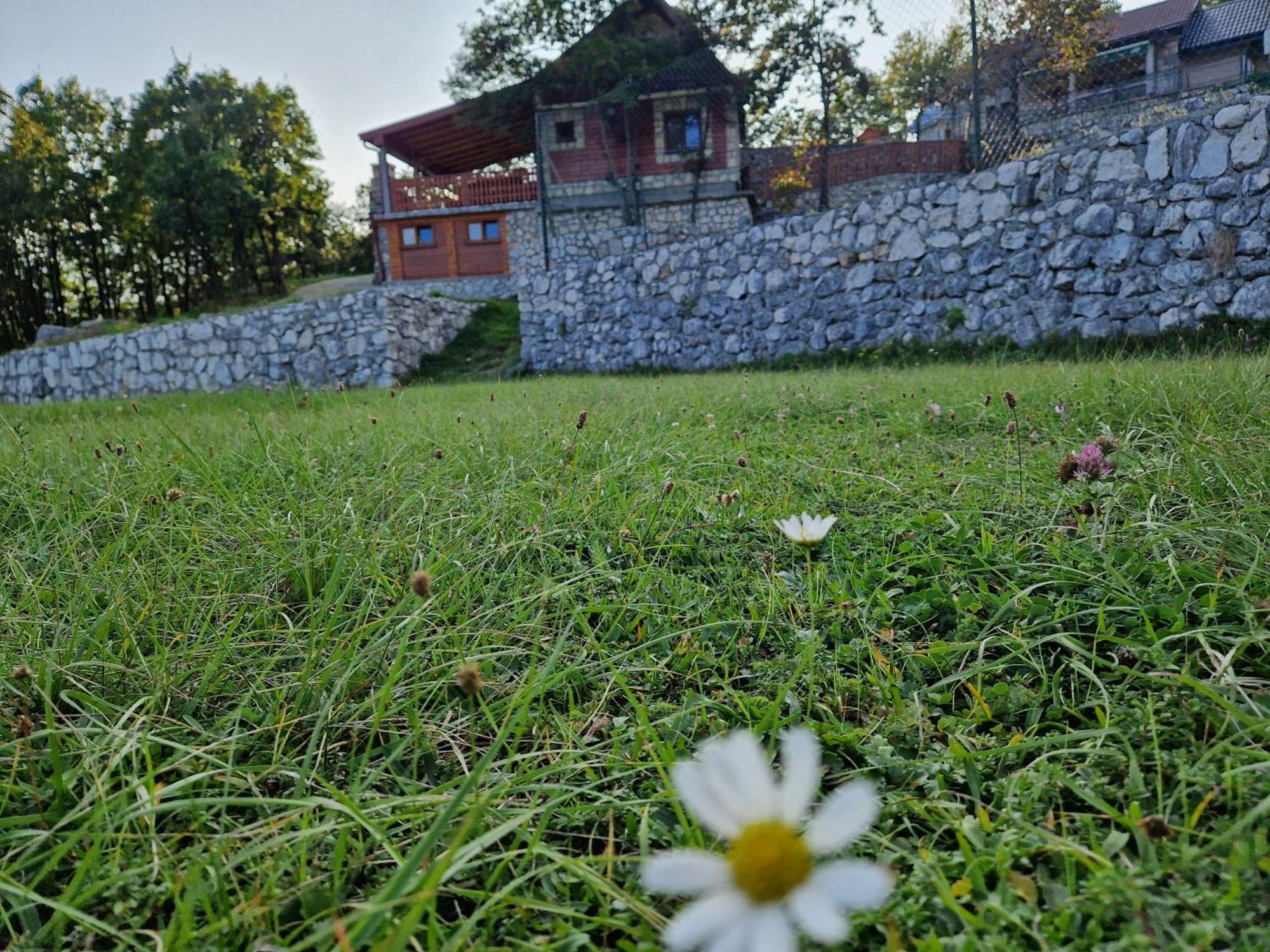 Mountain Village House Cetinje Eksteriør billede